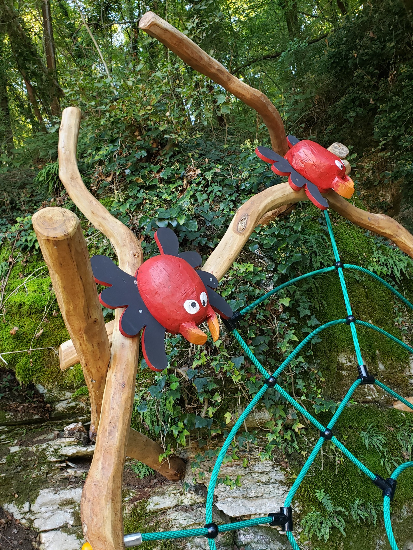 Immagine parco COLLE CIMATICO